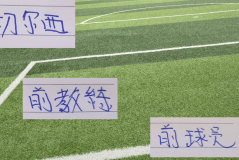 美国+瑞典 前切尔西教练都赢球 当年海港也是有车路士主帅