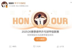 樊振东荣获德甲赛季最佳球员；此前在决赛独得两分，帮助球队实现首个“三冠王”